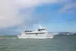 San Diego Whale/Dolphin Watching Cruise Aboard Luxury Vessel - Second Medium