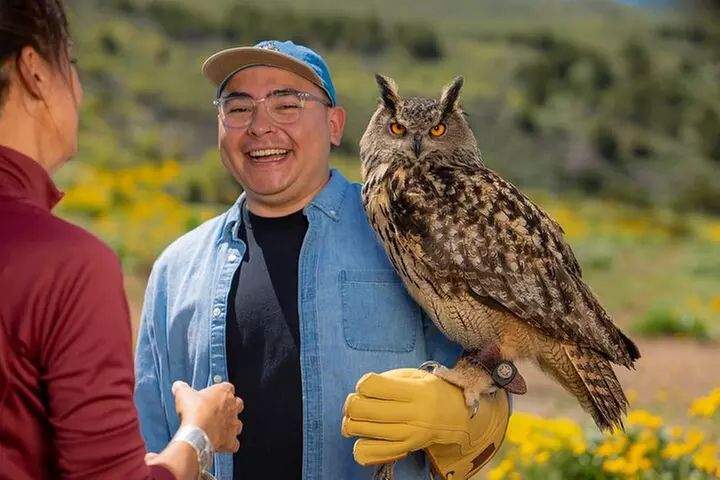 Experience Raptors and Falconry in Reno