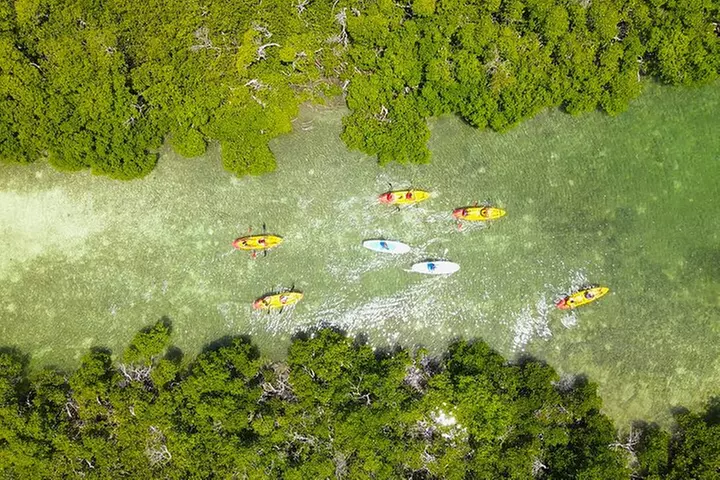 Key West Sandbar Charter With Kayak Tour: Includes Lunch & Drinks
