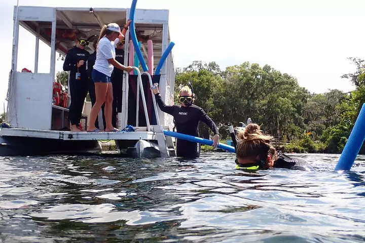 3 Hour Manatee Swim - Small Group w/complimentary photos!