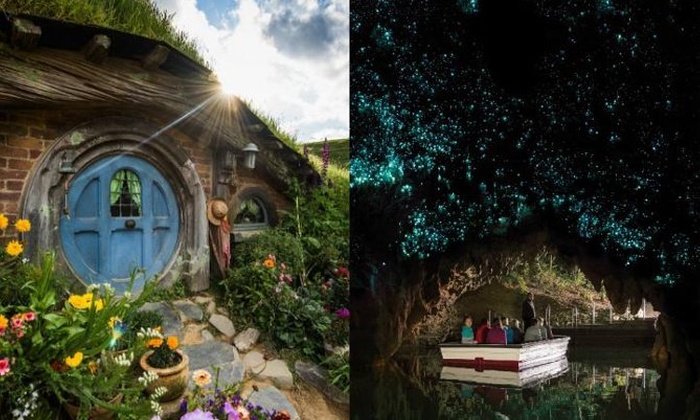 promo code for hobbiton tours