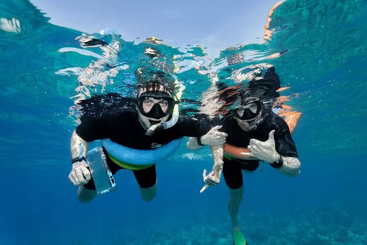 Maui Snorkeling Adventure to Molokini and Turtle Town