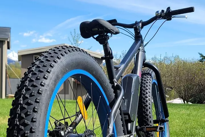 Viator Exclusive: Go eBike Alaska on Tony Knowles Trail