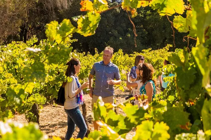 Half-Day Wine Country Tour from San Francisco