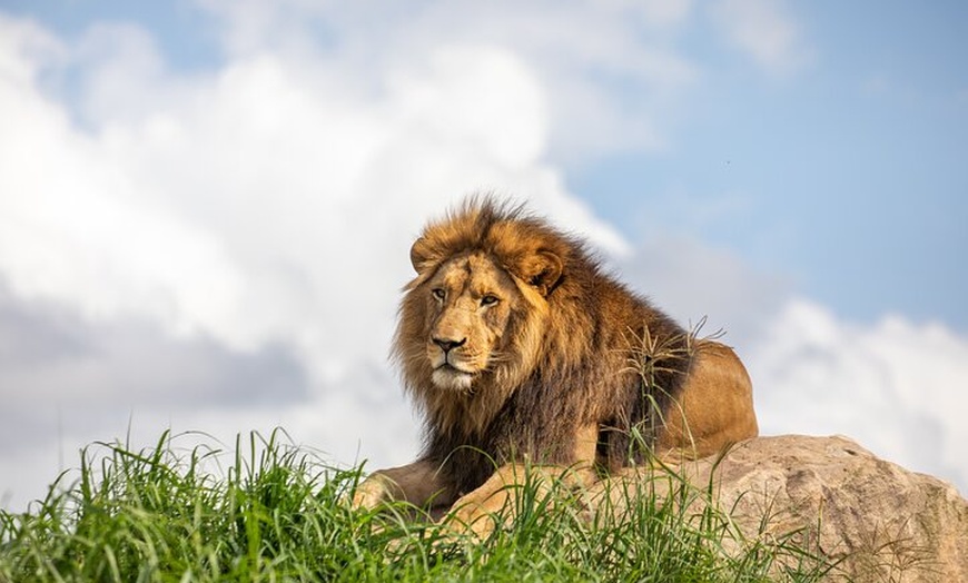 Image 3: Sydney Zoo General Entry Admission Ticket
