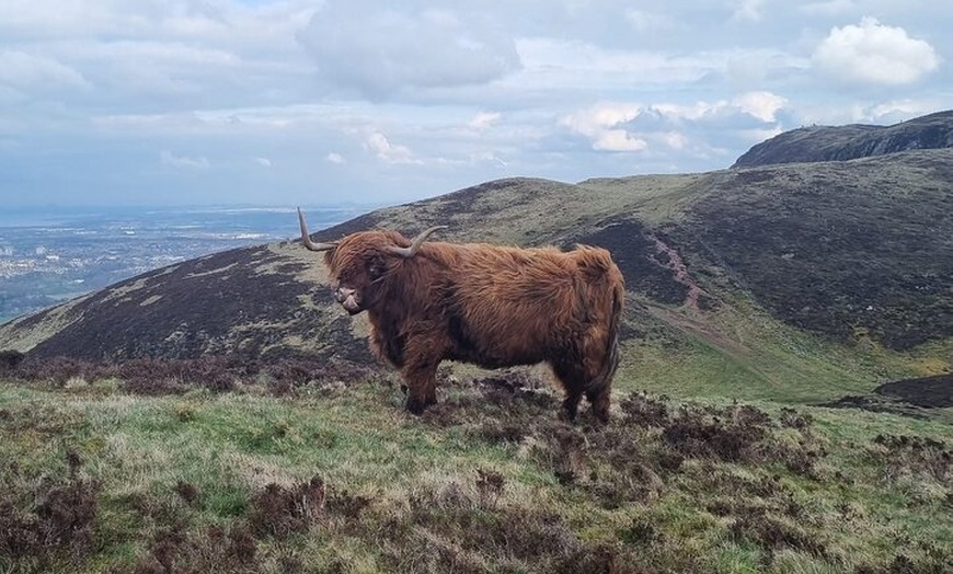 Image 3: Edinburgh Skyline Guided Hillwalk