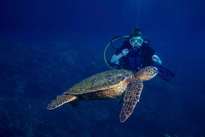 Discover Scuba Diving Class from Lahaina - Primary Image