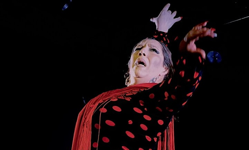 Image 13: Espectáculo de Flamenco Tradicional en el Tablao Casa Ana