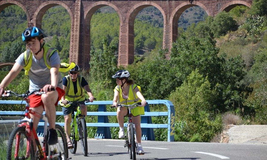 Image 4: ¡SABORES LOCALES! Tour de medio día en bicicleta con degustación de...