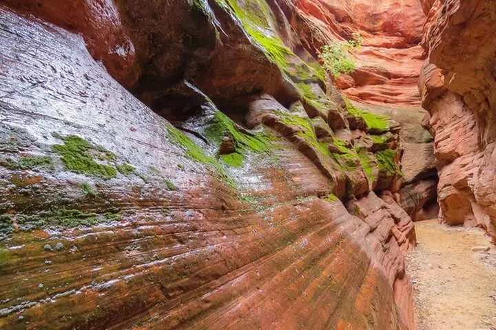 Peekaboo Slot Canyon 4WD Tour