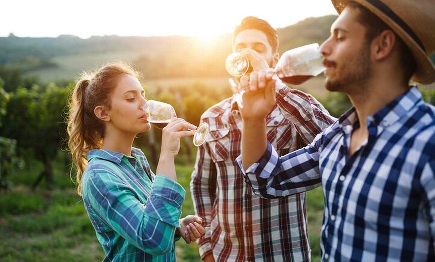 Image 3: Excursión de un día a Toledo y visita a viñedos Cata de vinos