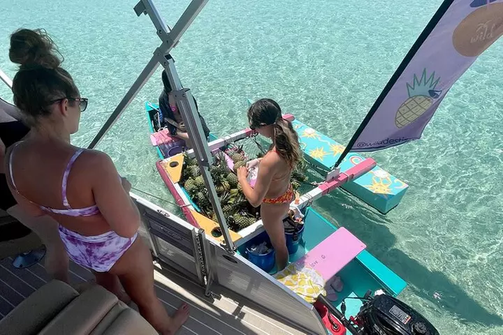 Private Crab Island Pontoon Charter with Inflatables