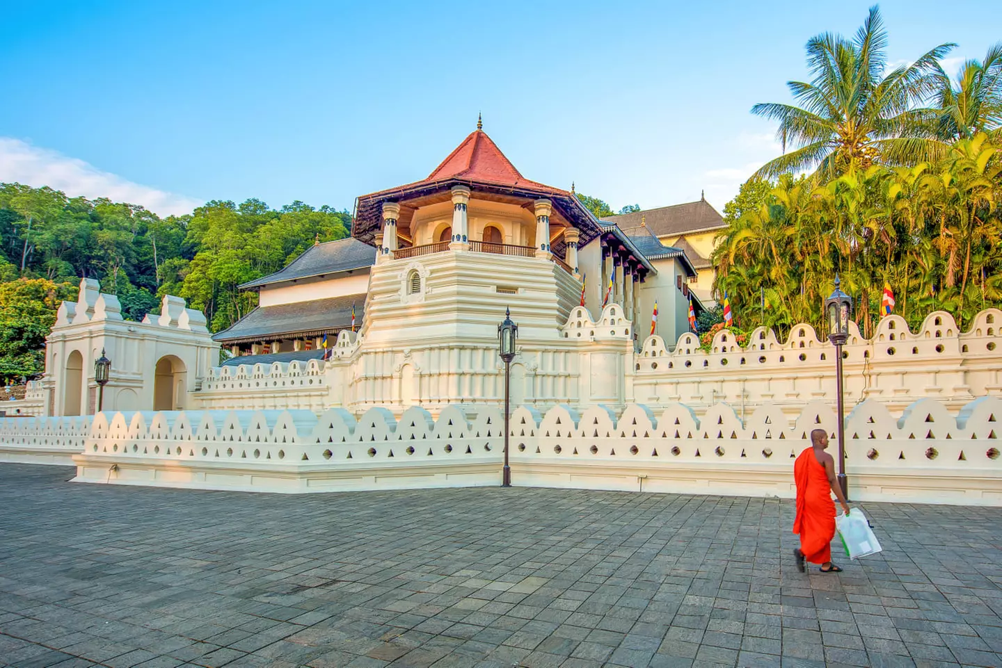 ✈ SRI LANKA | Colombo - Entdeckung der 5 Sinne in Sri Lanka 4*, 8 N...