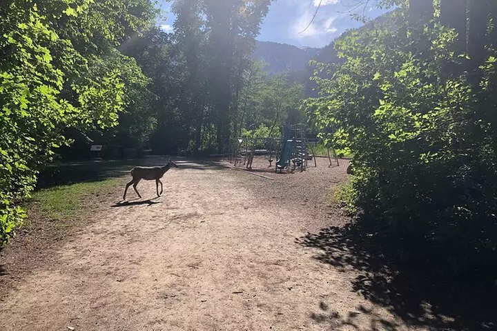Beaches, Bites and Bavaria in Leavenworth: A Self-Guided Audio Tour