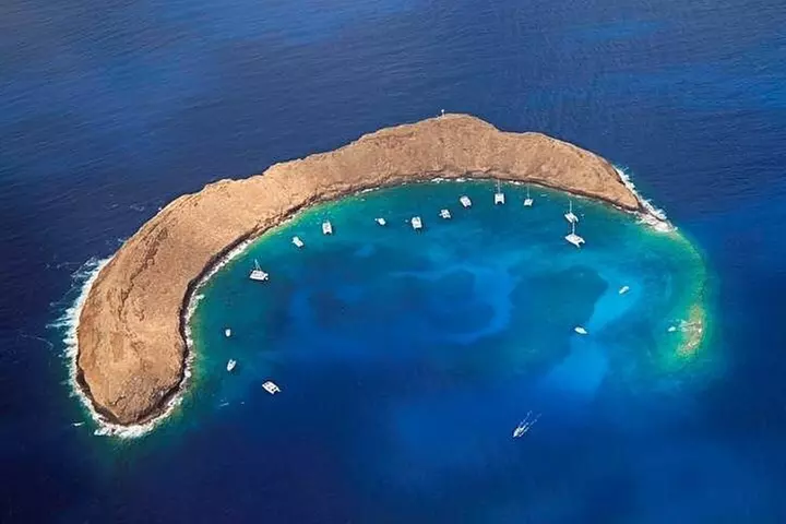 Half-Day Deluxe Molokini Snorkel Excursion in Maui - Primary Image