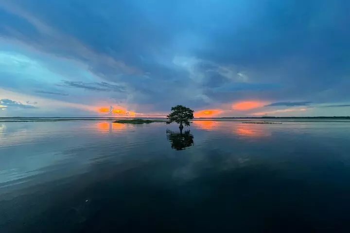 1-Hour Sunset Airboat Ride near Orlando