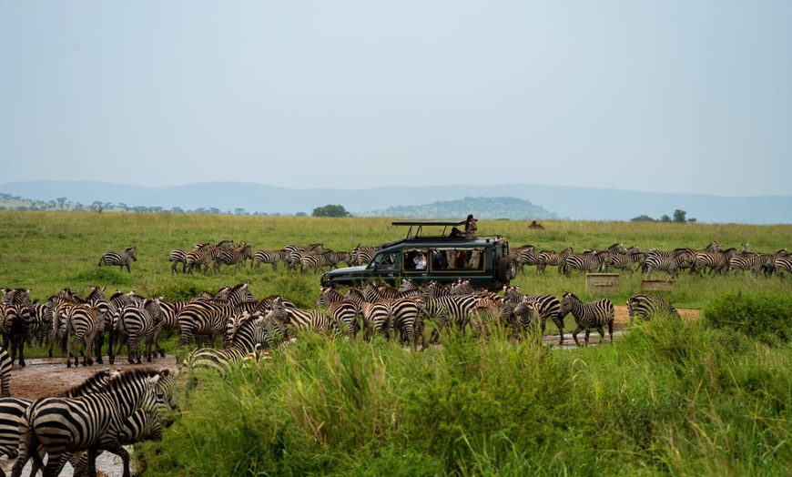 Image 15: ✈ TANZANIA | From Kilimanjaro to Zanzibar - Safari in the savannah ...