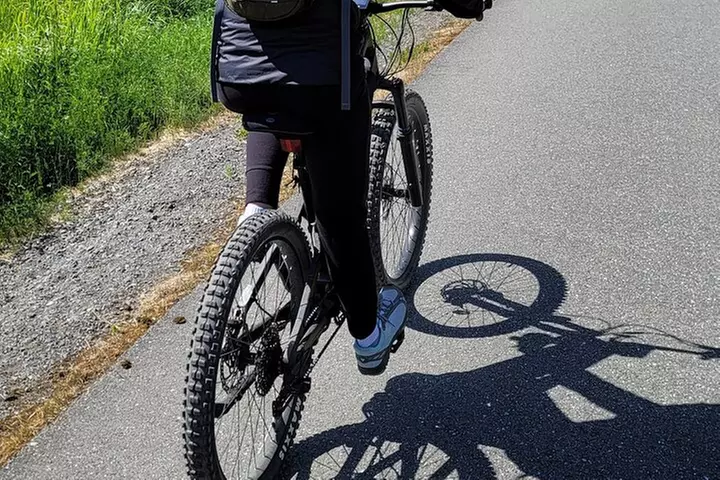 Viator Exclusive: Go eBike Alaska on Tony Knowles Trail