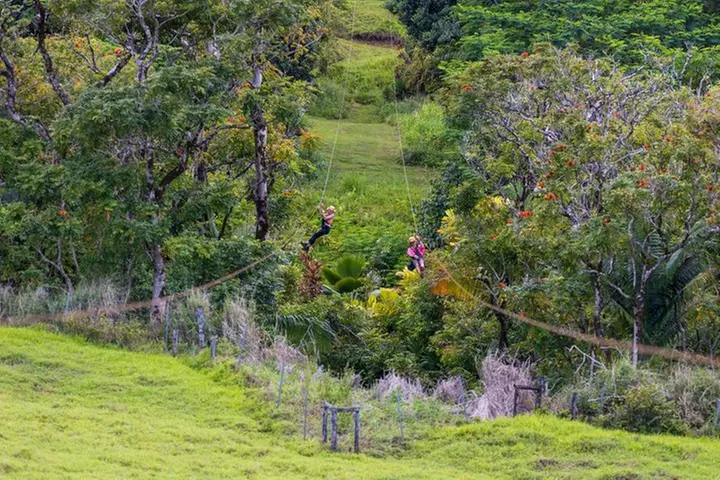 Big Island: 8-Zipline & Suspension Bridge Waterfall Adventure