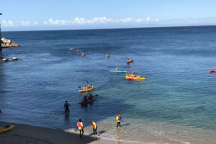 Monterey Bay Kayak Rental Two Hours: Otters, Seals and Sea Lions