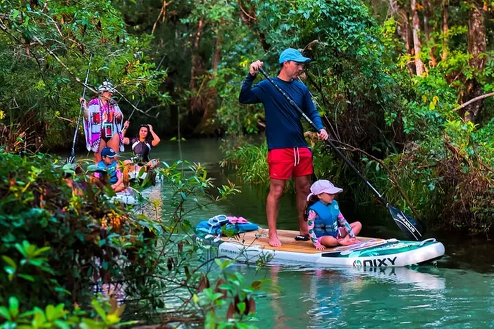 Rainbow Springs Paddle Board & Kayak Adventure