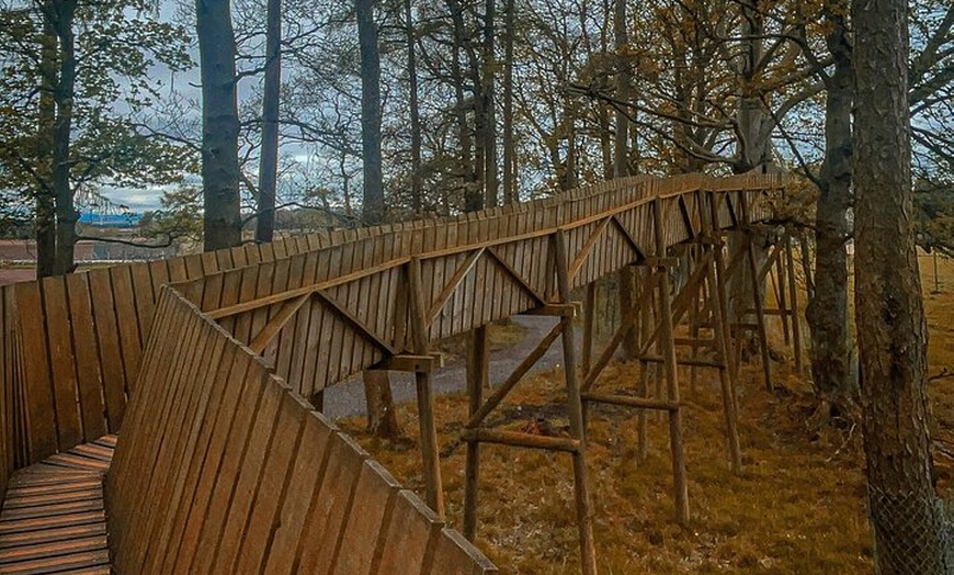 Image 11: Glasgow Wildlife Centre Higlands Cow Apacas Walking Tour