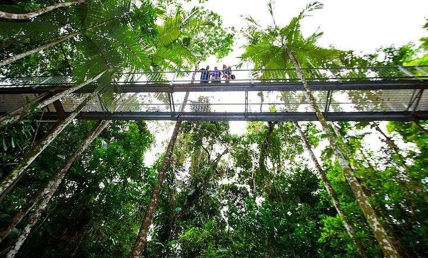 Image 3: Daintree Discovery Centre Family Pass Ticket