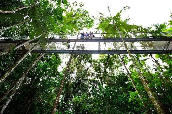 Daintree Discovery Centre Family Pass Ticket