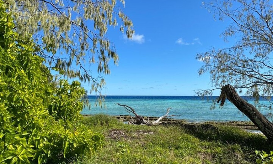 Image 5: Lady Musgrave Day Trip from Bundaberg Including Snorkeling