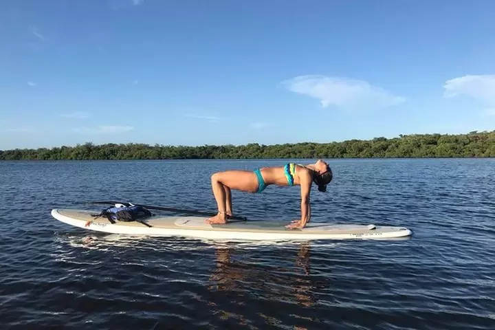 Paddle Boarding Rentals