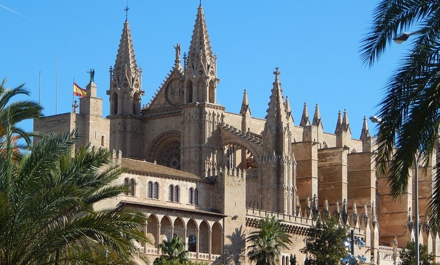 Image 12: Excursión privada con guía local en Mallorca