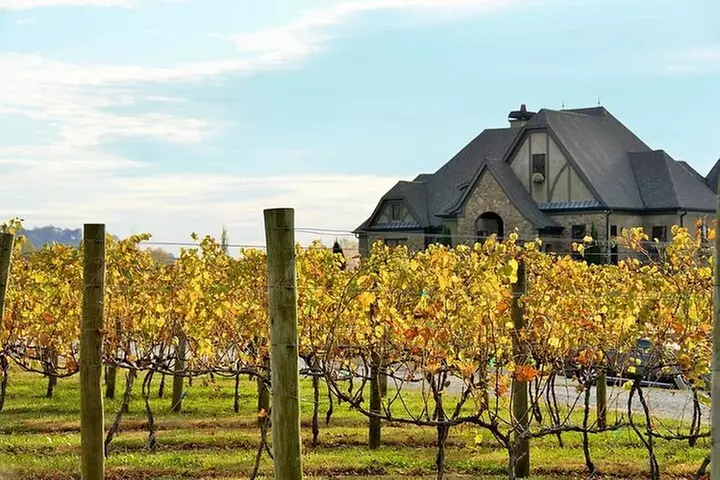 Full-Day Wine Country Wine Tastings From Atlanta
