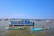Crab Island Charter, Family Friendly 4 Hour - Second Medium