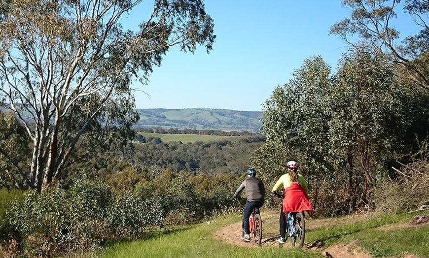 Image 8: McLaren Vale Wine Tour by Bike