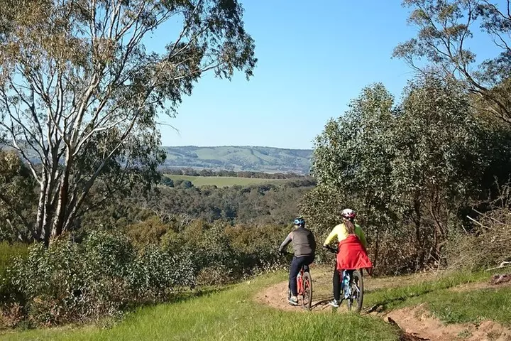 McLaren Vale Wine Tour by E-Bike (Private & Small Group)