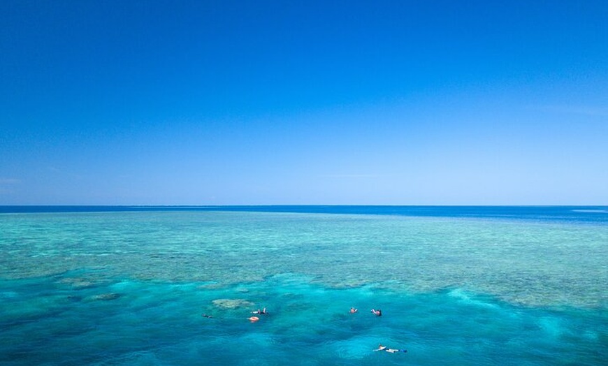 Image 3: 2-Day Snorkelling Experience - Great Barrier Reef Twin Share