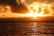Sunset Bioluminescence Tour - Second Medium