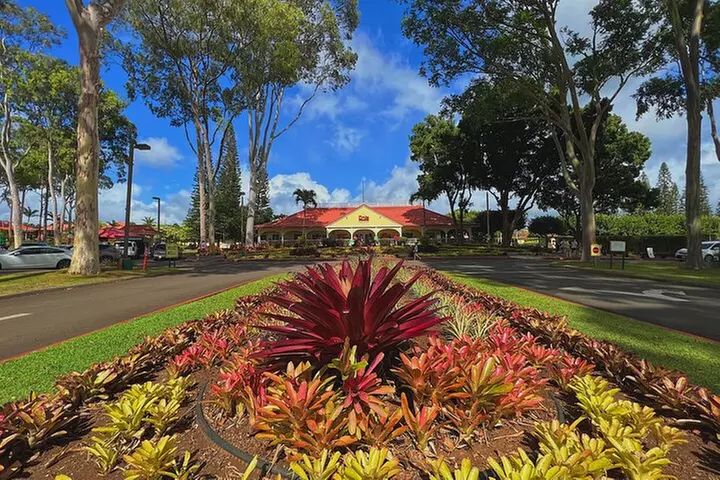 Oahu Island Experience feat the North Shore (Small Group Tour)