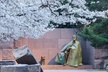Top Tidal Basin Explorer of Thomas Jefferson FDR & MLK Memorials - Second Medium