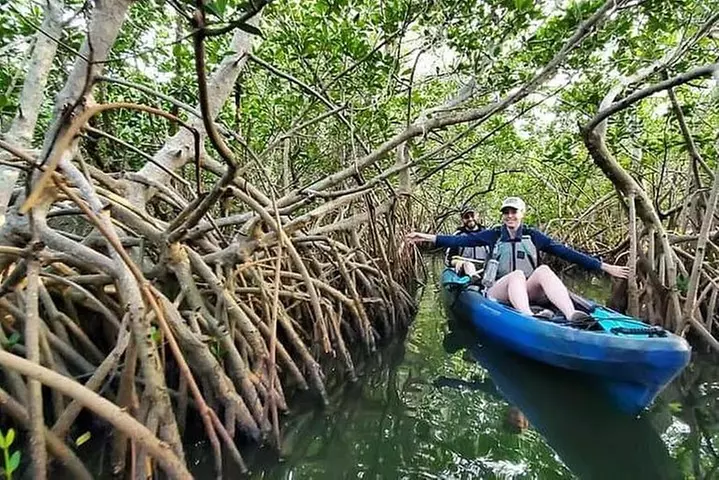 Thousand Islands Mangrove Tunnel Kayak Tour with Cocoa Kayaking! - Primary Image