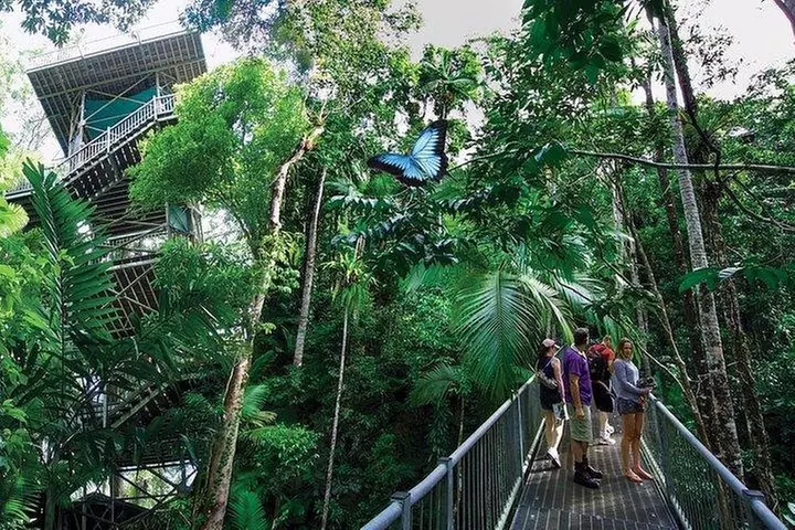 Daintree Discovery Centre Family Pass Ticket