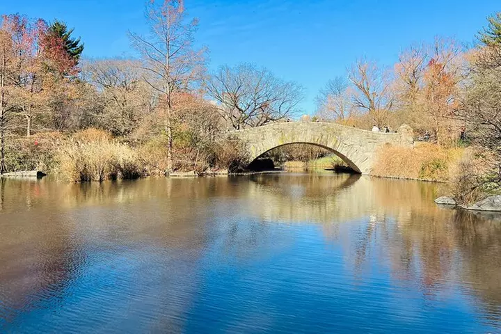 Central Park Pedicab Tour ( starting - Natural History Museum )