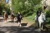 Horseback Riding in Central Park
