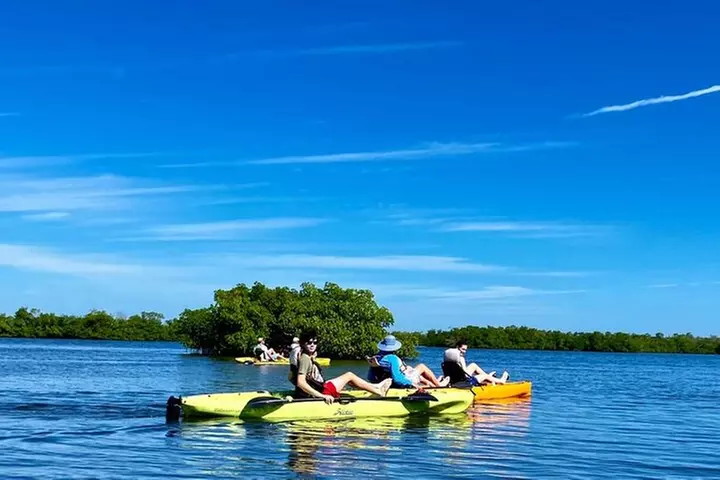 Deluxe Kayak Tour Marco Island and Naples, Florida