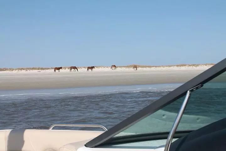 Private Guided Boat Tour up to 6 passengers in Fernandina Beach
