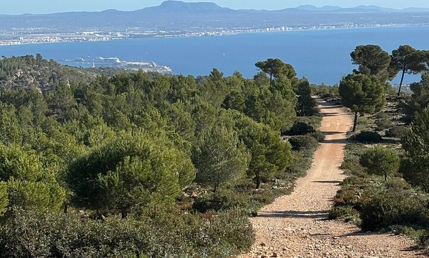 Image 25: Sierra de Tramuntana caminata con pequeño picnic