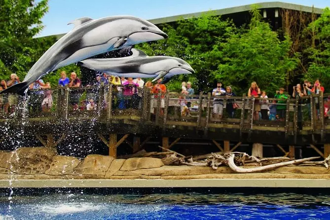 Vancouver Aquarium - Primary Image