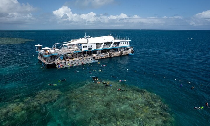 Image 6: Snorkel & Dive the Reef: Sustainable, Scientific & Cultural Tour