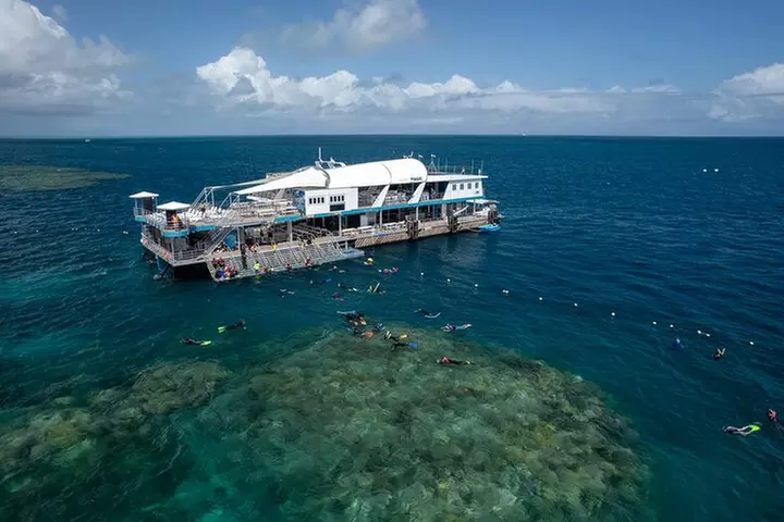Snorkel & Dive the Reef: Sustainable, Scientific & Cultural Tour