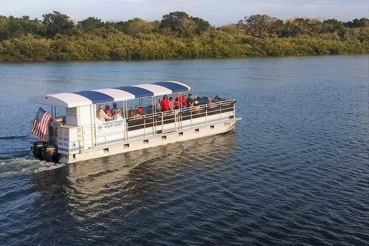 Wildlife Tour of Indian River Lagoon with Experienced Captain